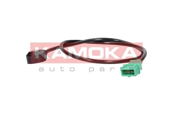 111002 Kamoka