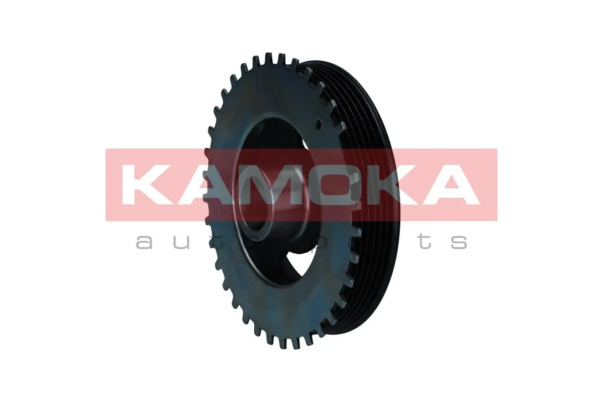 Polia de cambota 31316628 Volvo
