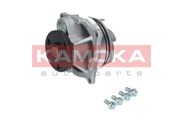 T0129 Kamoka