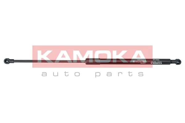Amortecedor de tampa de porta-malas (de 3ª/5ª porta traseira) Citroen C5 II RC