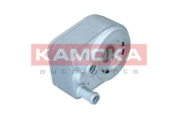 7730154 Kamoka