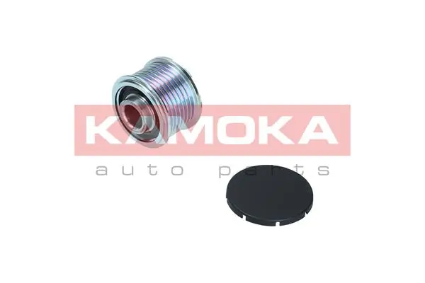 Polia do gerador para BMW X6  E71