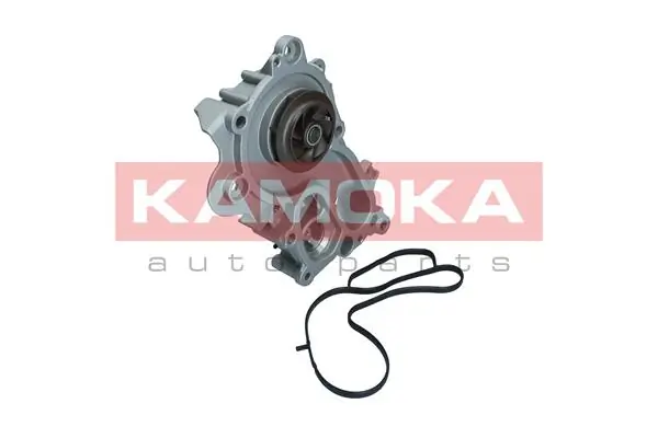 T0287 Kamoka