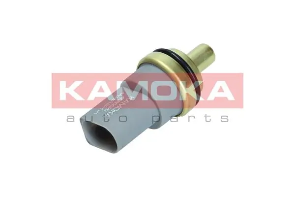 Sensor de temperatura do fluido de esfriamento Seat Leon 2 1P1