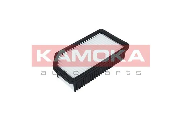 F226201 Kamoka