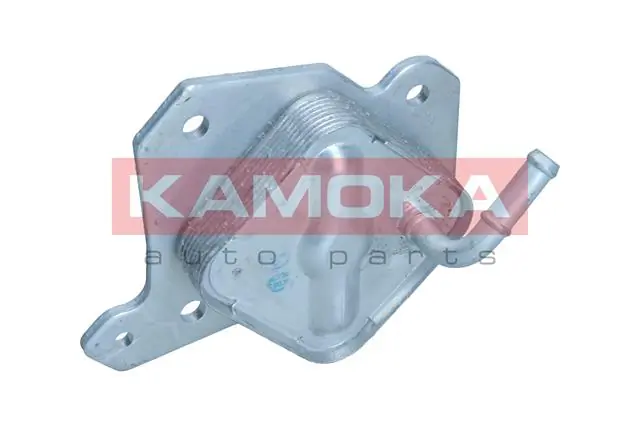 7730056 Kamoka