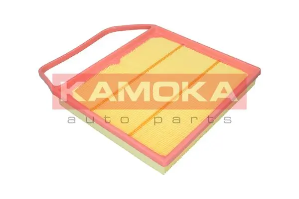 F243301 Kamoka