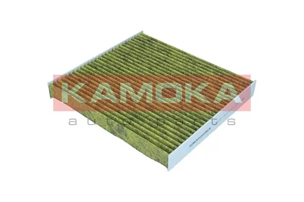 6080180 Kamoka