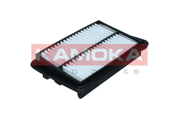 F258701 Kamoka
