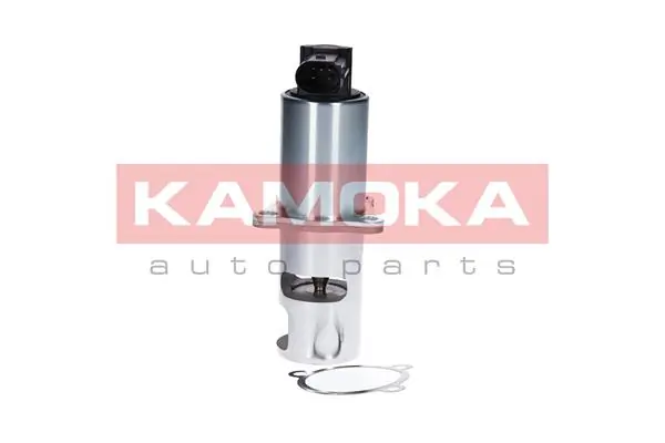 19010 Kamoka