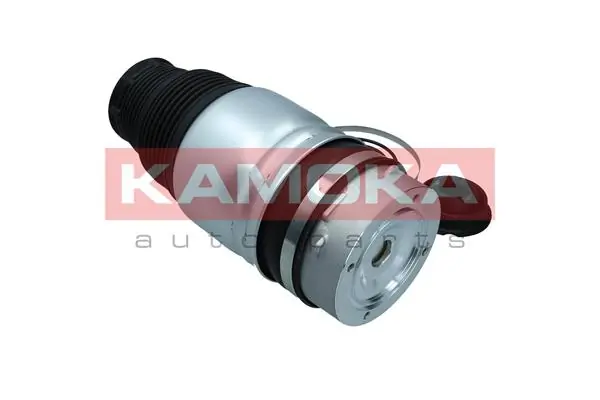 2079008 Kamoka