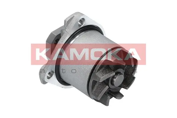 Compre P524 Tata Bomba de água (bomba) de esfriamento