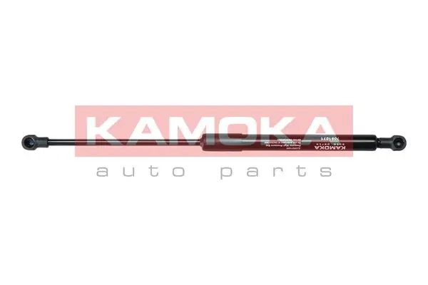 Amortecedor da capota para Renault Kangoo II FW0