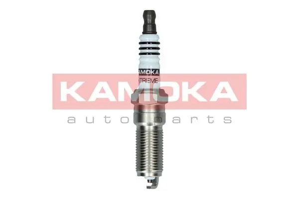 1362012 Ford Vela de ignição