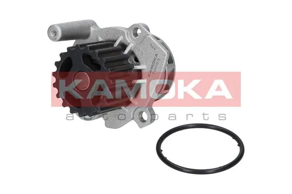 T0023 Kamoka