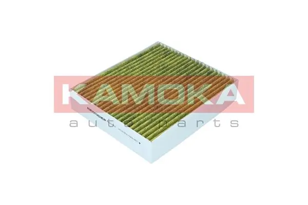6080088 Kamoka