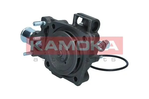 Bomba de água (bomba) de esfriamento 500361203 Renault (RVI)