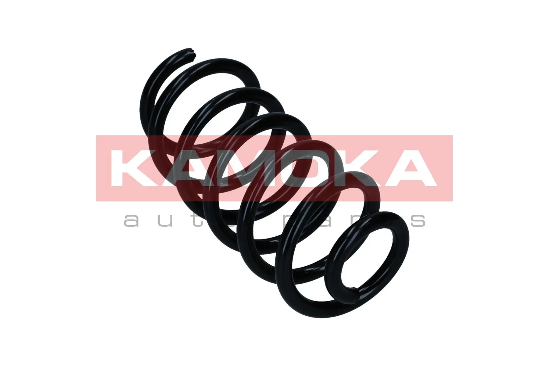 2120593 Kamoka