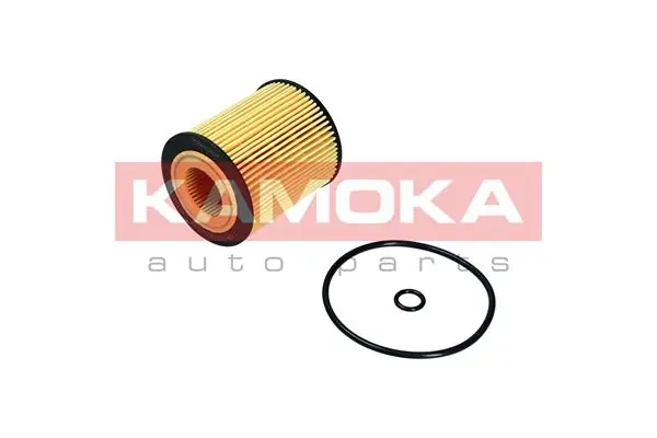 F120101 Kamoka