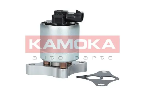Compre 19002 Kamoka Válvula EGR de recirculação dos gases