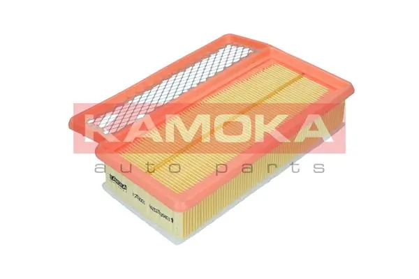 F253001 Kamoka