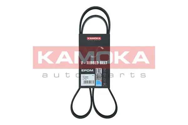 Correia dos conjuntos de transmissão Dayco 6PK1265 preço, a partir de 20,29 USD