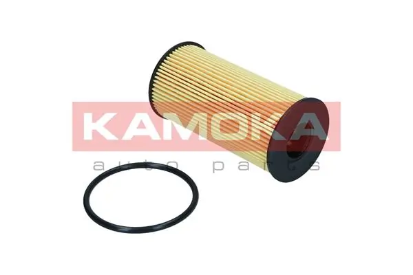 F121301 Kamoka