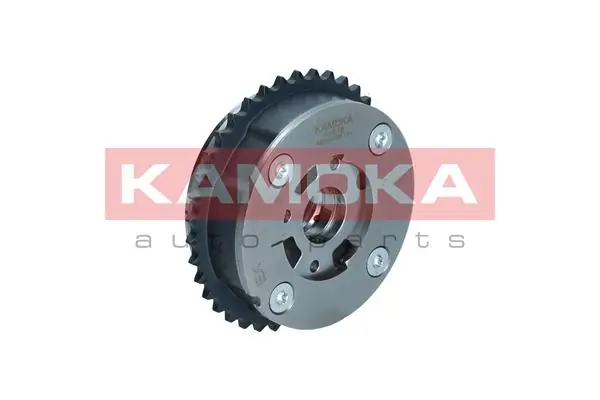 RV019 Kamoka