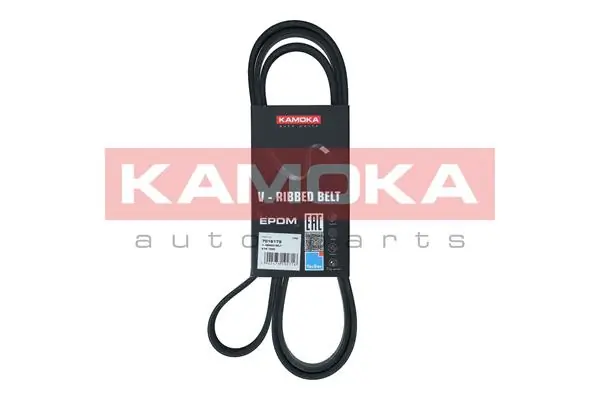 7016179 Kamoka