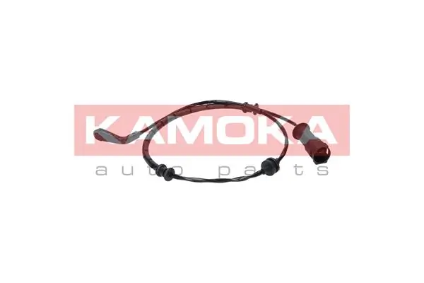 105017 Kamoka