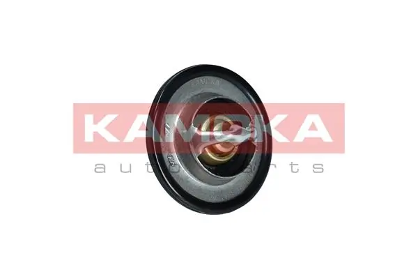 2120000Q0B Renault (RVI) Termostato