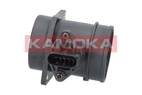 18009 Kamoka