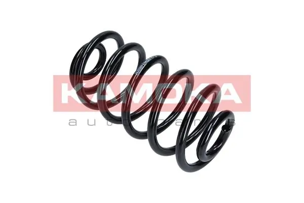 2120189 Kamoka