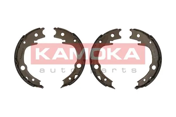 JQ212048 Kamoka
