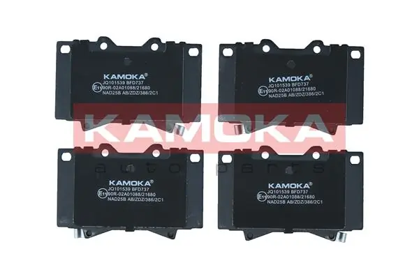 JQ101539 Kamoka