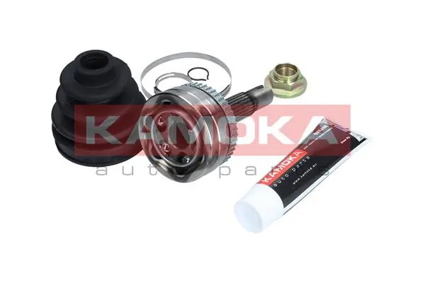 6041 Kamoka