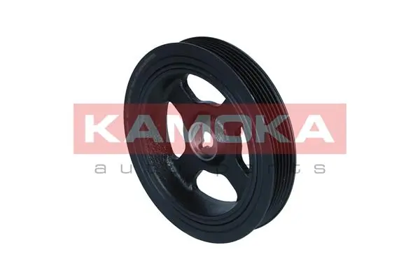 RW100 Kamoka