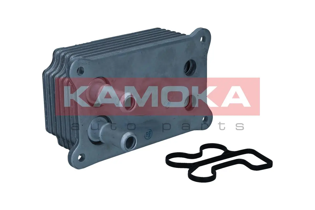7730025 Kamoka