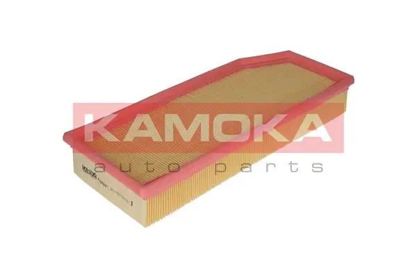 F209801 Kamoka