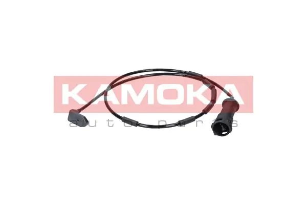 105013 Kamoka
