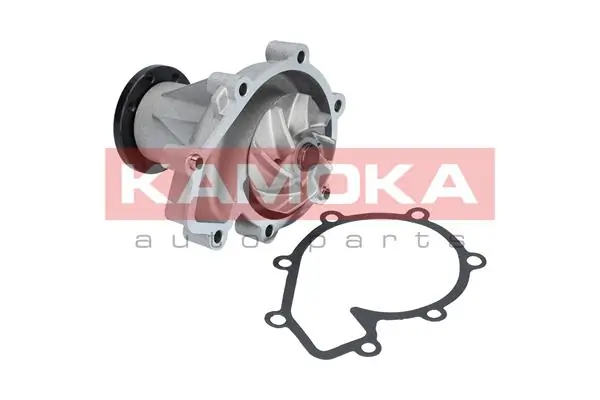 T0181 Kamoka