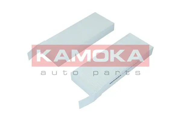 F421301 Kamoka