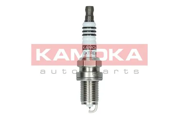 Vela de ignição Peugeot/Citroen 55576026