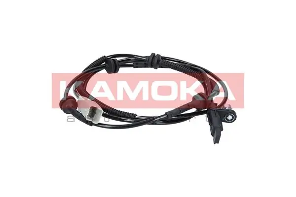 1060101 Kamoka