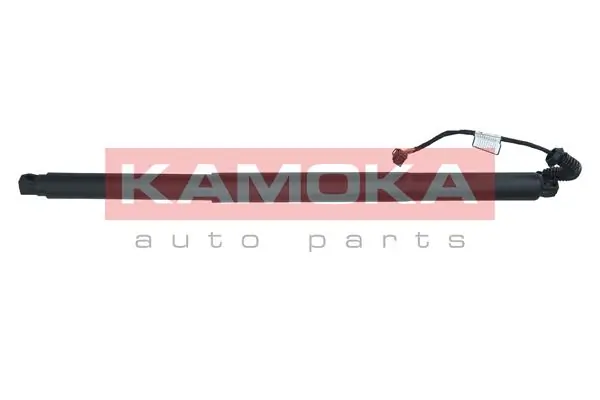 7094066 Kamoka