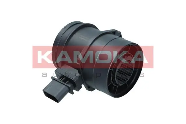 18033 Kamoka