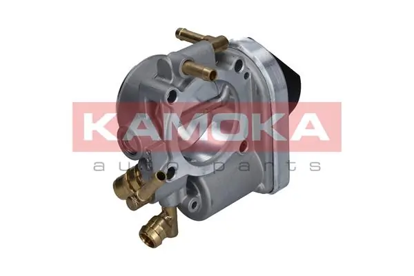 112019 Kamoka