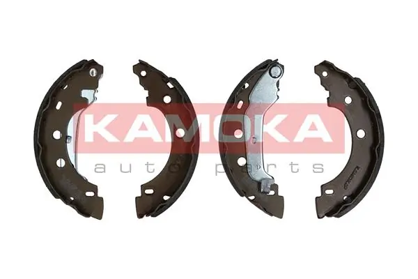 JQ202016 Kamoka