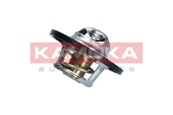 7710071 Kamoka