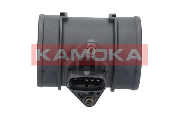 18014 Kamoka